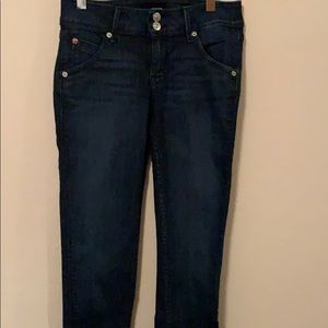 Hudson Collin Flap Skinny